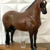 Cavalo Corote Mangalarga Marchador 2 Litros