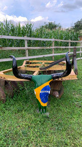 Caveira de Boi Decorativa com Bandeira do Brasil
