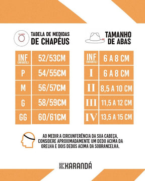 CHAPÉU C VIOLEIRO ESPECIAL AN ABA G